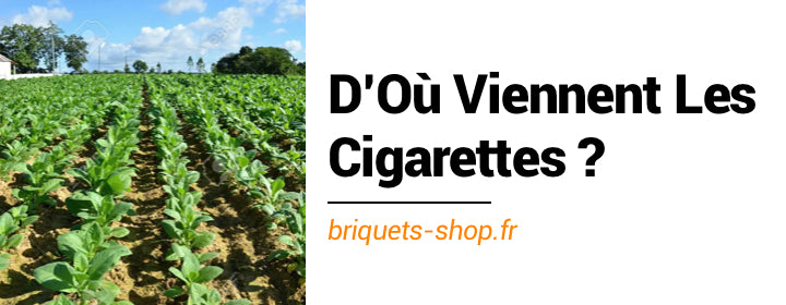 Où Sont Fabriquées Les Cigarettes ?